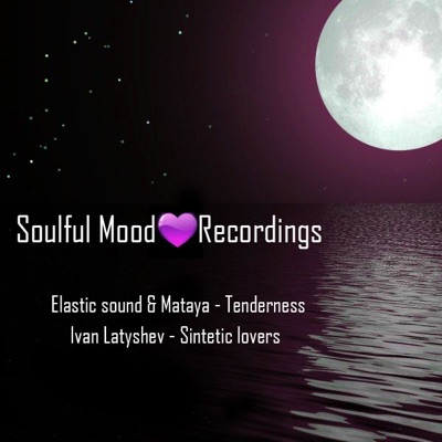 Soulful Mood Recordings, Vol. 2 - Single