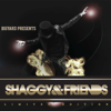 Shaggy & Friends - Shaggy