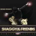 Shaggy & Rayvon Show