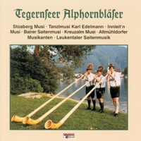 Tanzlmusi Karl Edelmann - Waschermadl Polka