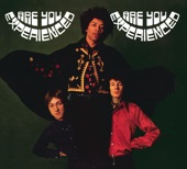 The Jimi Hendrix Experience - Can You See Me