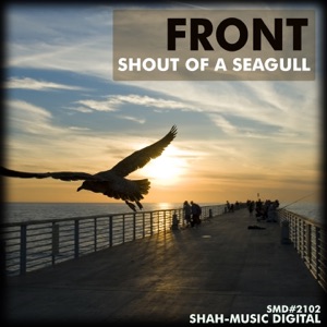Shout of a Seagull