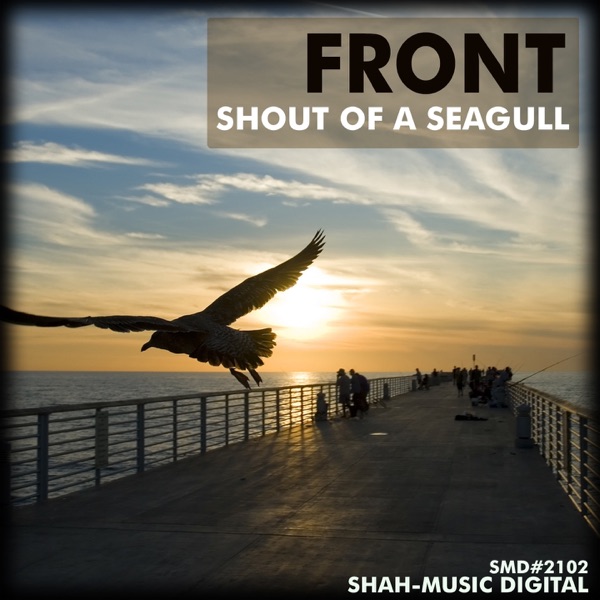 Shout of a Seagull