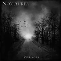 Suffer — Nox Aurea