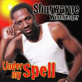 Take Your Time Shurwayne Winchester