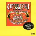 I Could Never Pass A Honky Tonk