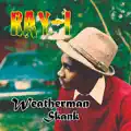 weatherman Skank