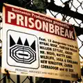 Born In The System