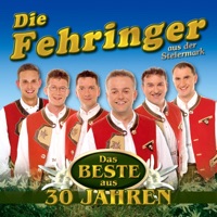 Die Fehringer - Ja, mit der Musi (Radio Edition)