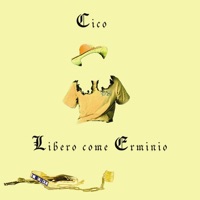Libero Come Erminio - Cico