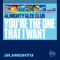 You're The One That I Want (Almighty Definitive Radio Edit) — Almighty Glee Club