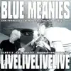 Blue Meanies - The Infidelity Song (live)