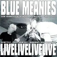 The Infidelity Song (live) — Blue Meanies