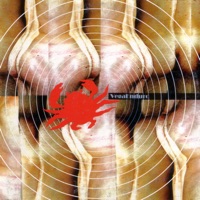 VegaEnduro - Dizzy Feeling