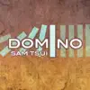 Sam Tsui - Domino