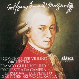 Concerto No. 2 in D Major, K. 211 : II. Andante