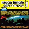 Redrose - Jungle Tempo