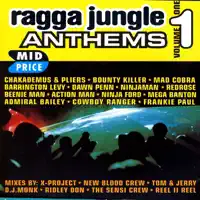 Junglist Killer Sound Boy — Mega Banton