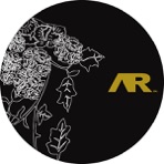 Kasmir Remixes - EP