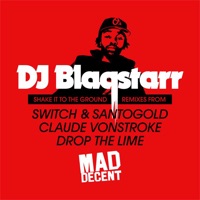 Shake It to the Ground (feat. Rye Rye) - EP - DJ Blaqstarr