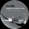 Simbiosis (Original Mix) - DJ Sim lyrics