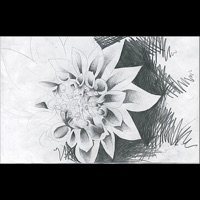 The Harvest - Single - Faith Fisher