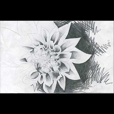 The Harvest - Single