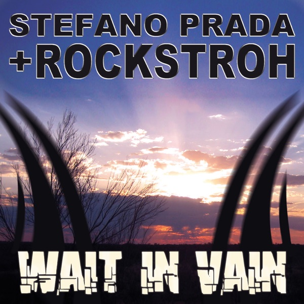 Wait In Vain
