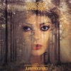 FOREST EYES