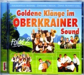 Goldene Klänge Im Oberkrainer Sound - Folge 2, 2010