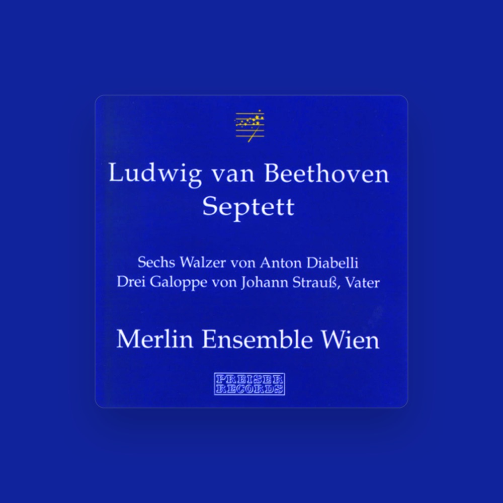 Фото Merlin Ensemble Wien