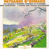 Paysages d'oiseaux - Bird Landscapes