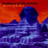 Michel Baladi Ararat Vibration (Improvisation on Baglama Saz) Presence of the Past
