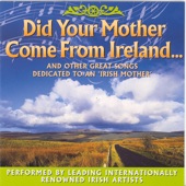 Did Your Mother Come From Ireland artwork