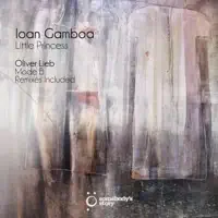 Butterfly Effect (Oliver Lieb Remix) — Ioan Gamboa