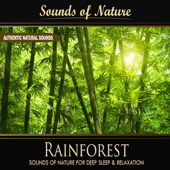Rainforest (Nature Sounds)