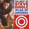 The Best Of Steve Diggle & Flag Of Convenience - The Public Years