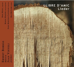 Llibre d'amic