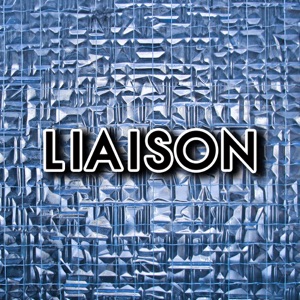 Liaison (Original Mix) - Single