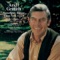 I'll Fly Away - Andy Griffith lyrics