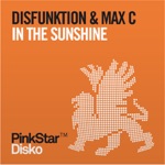 In The Sunshine (Radio Mix)