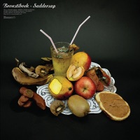 Saddersap - Bronstibock