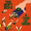 The Soft Boys - Leppo and the Jooves