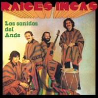 Fiesta Para Sicuris