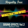Sound Effects Royalty Free - Sound Effects - Vogel