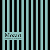 Symphony No. 40 in G Minor, K. 550: I. Molto Allegro