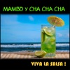 Mambo Y Cha Cha Cha