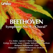 Symphony No. 9 in D minor, Op. 125, "Choral": II. Molto vivace artwork