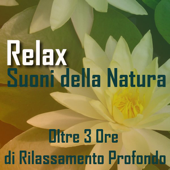 Relax Suoni della Natura (Ideale per yoga, meditazione, rilassamento profondo, reiki, pilates) - Mike Freeman Wellness