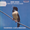 Fekete rigó - Blackbird (Turdus merula) - Dr. Mihály Ország